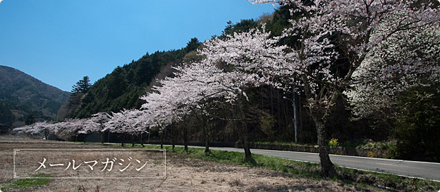 【道志湯通信】　今月の風呂の日